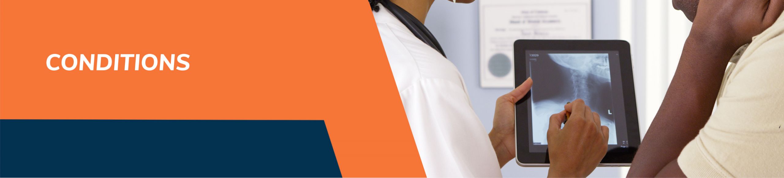 conditions-performance-ortho-header conditions-performance-ortho-header