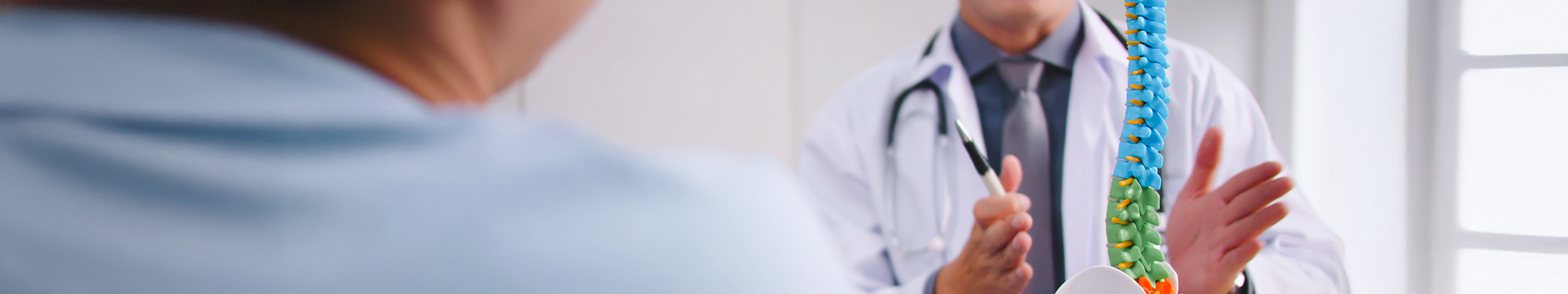 LP-DDD-banner01
